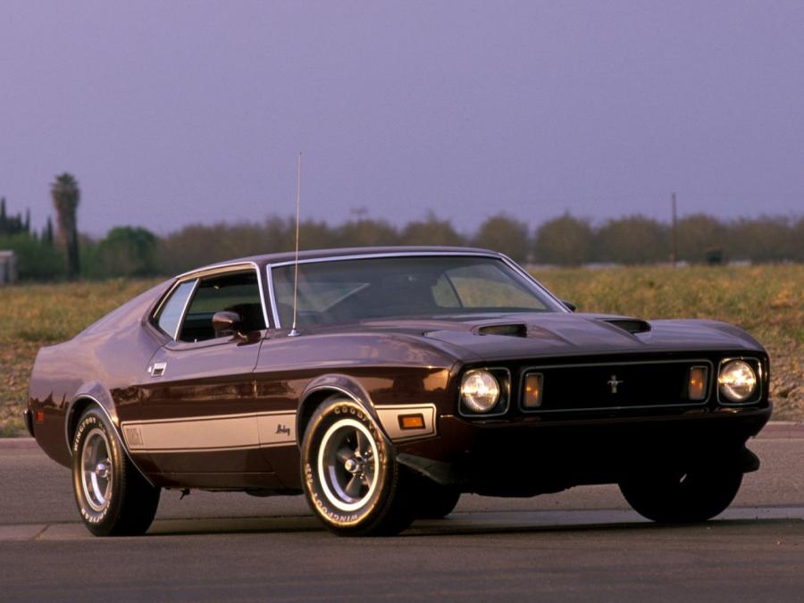  Ford Mustang Mach I 1973 года  (фото 3 из 4)